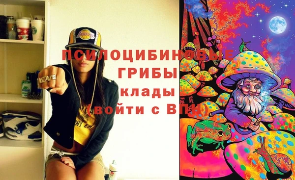 спайс Абдулино