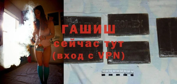 гашик Алексин