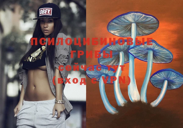 эйфоретик Абаза