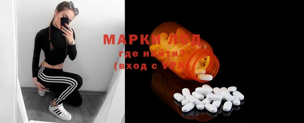гашик Алексин